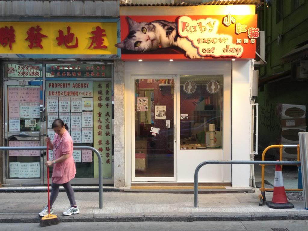 The pet stores of Wanchai ilbonito blog 2007